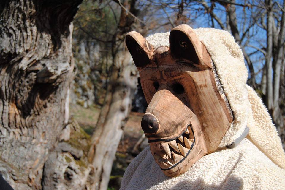 Oso de Bidueira