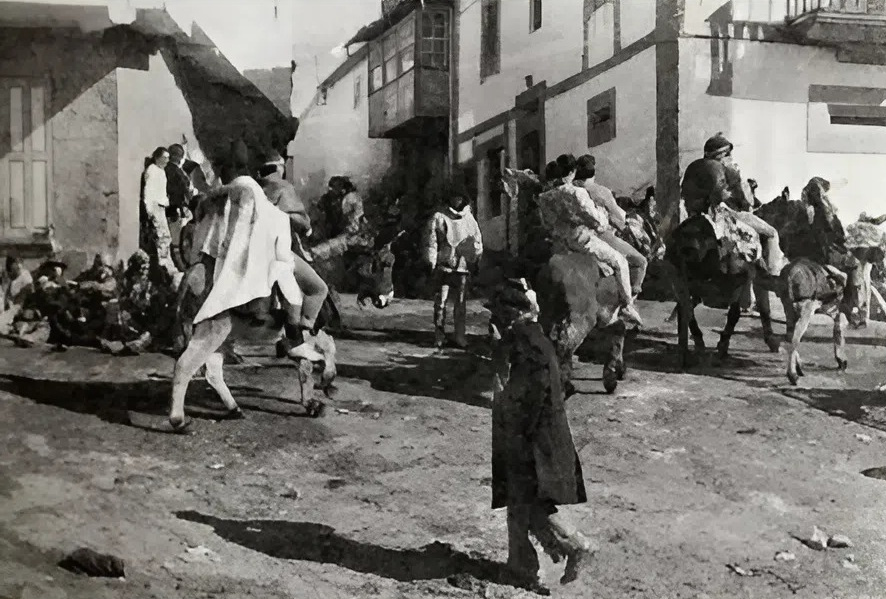 Cortexo dos burros