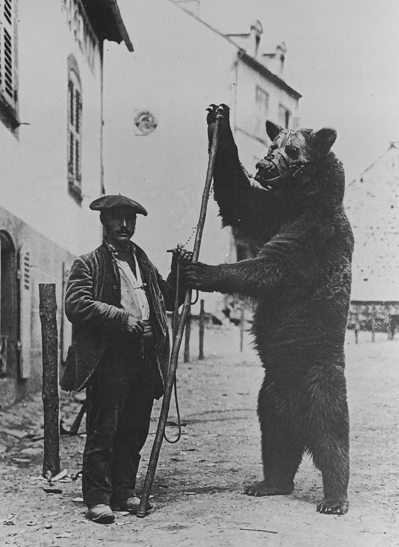 Domador de oso