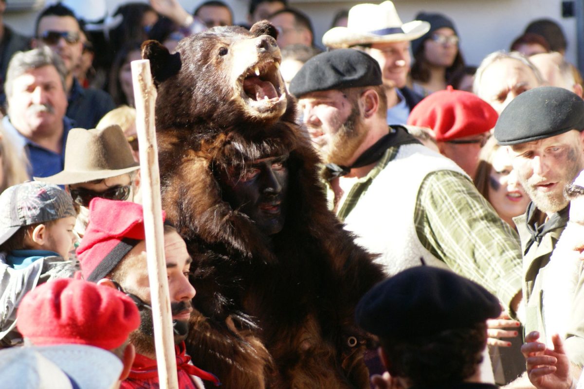 Oso de St-Laurent-de-Cerdans